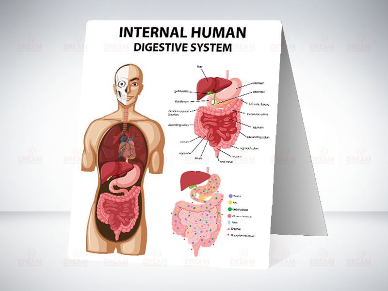 Dream India School Aid