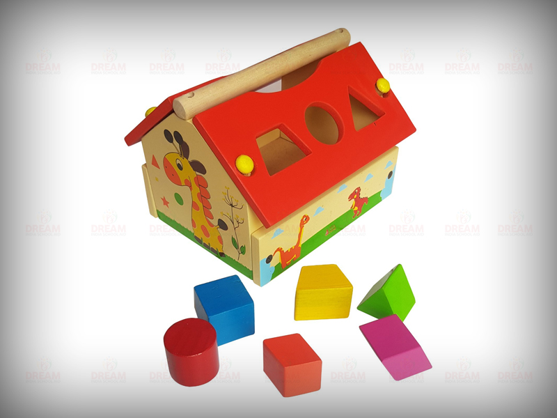 Dream India School Aid